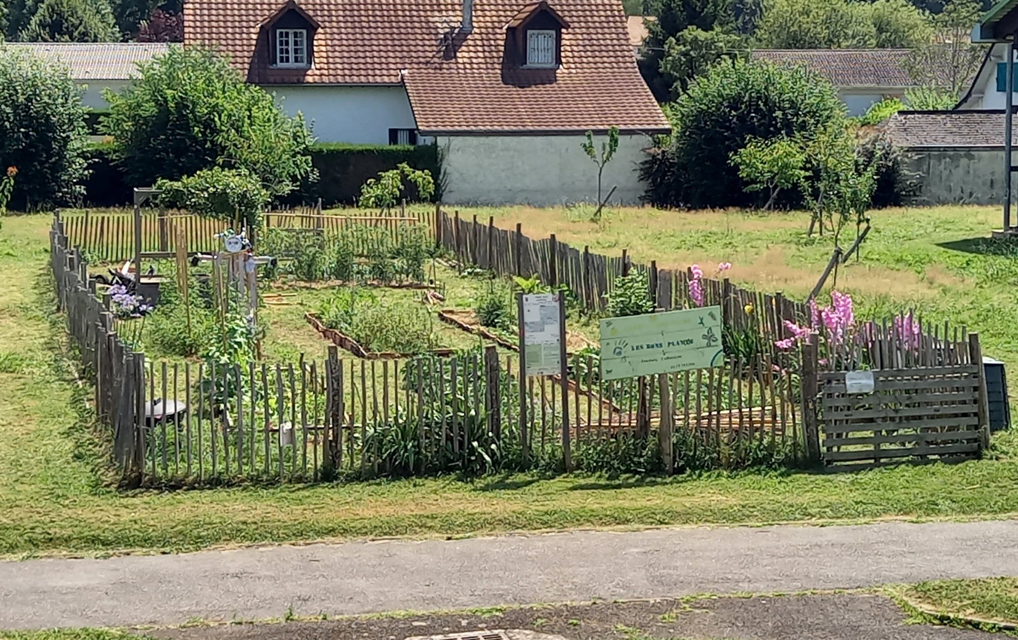 Le jardin partagé les bons plan(t)s