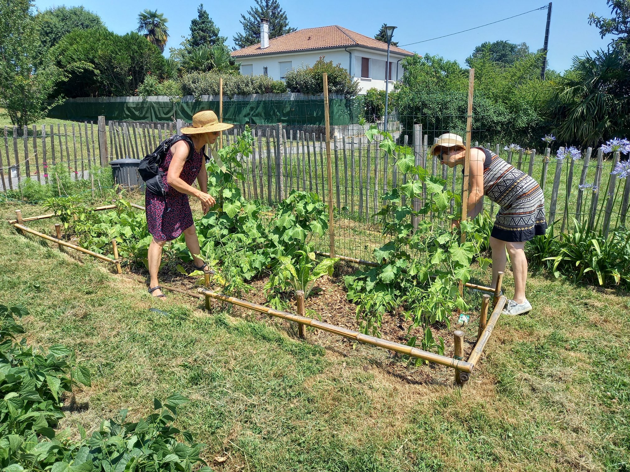 Patricia et Isabelle regardent les récoltes